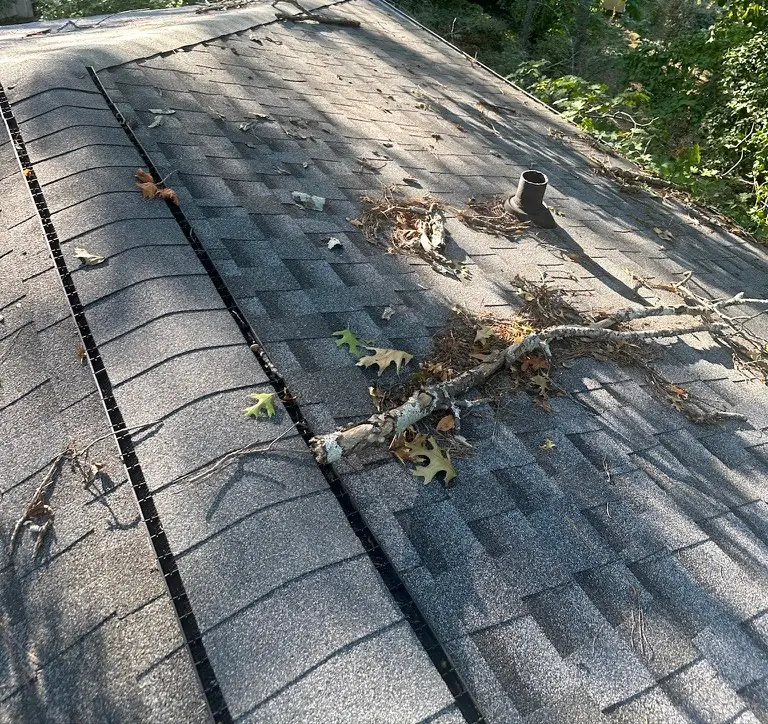 Branches and leaves lying on an asphalt shingle roof beneath overhanging trees